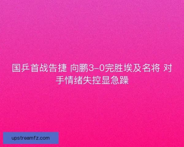 国乒首战告捷 向鹏3-0完胜埃及名将 对手情绪失控显急躁