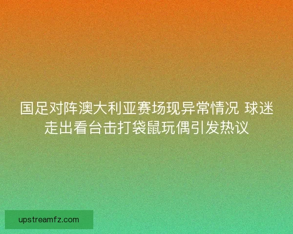 国足对阵澳大利亚赛场现异常情况 球迷走出看台击打袋鼠玩偶引发热议